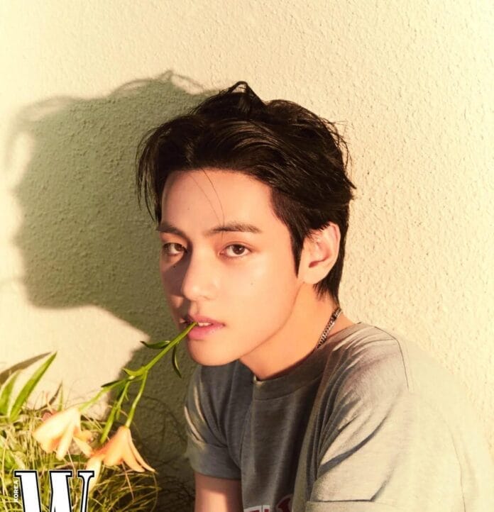 Who is V? Biography, Age, Height, Net Worth and More Facts Who is V? Biography, Age, Height, Net Worth and More Facts