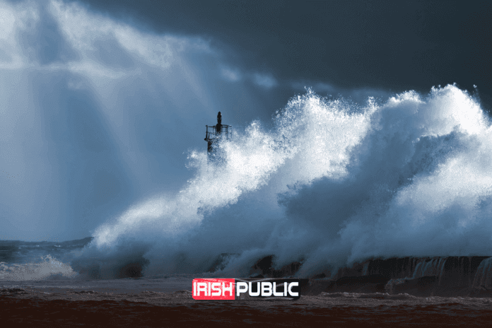 Storm Darragh: Thousands Without Power After Devastating Storm Workers repairing power lines after Storm Darragh amidst fallen trees and storm debris.
